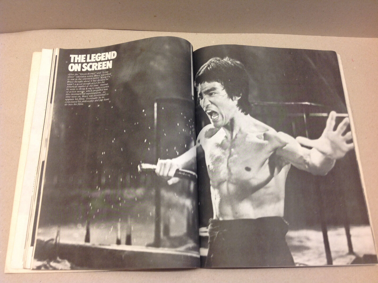 BRUCE LEE THE UNTOLD STORY 1980 MAGAZINE BOOKLET MARTIAL ARTS LEGENDARY FIGHTER