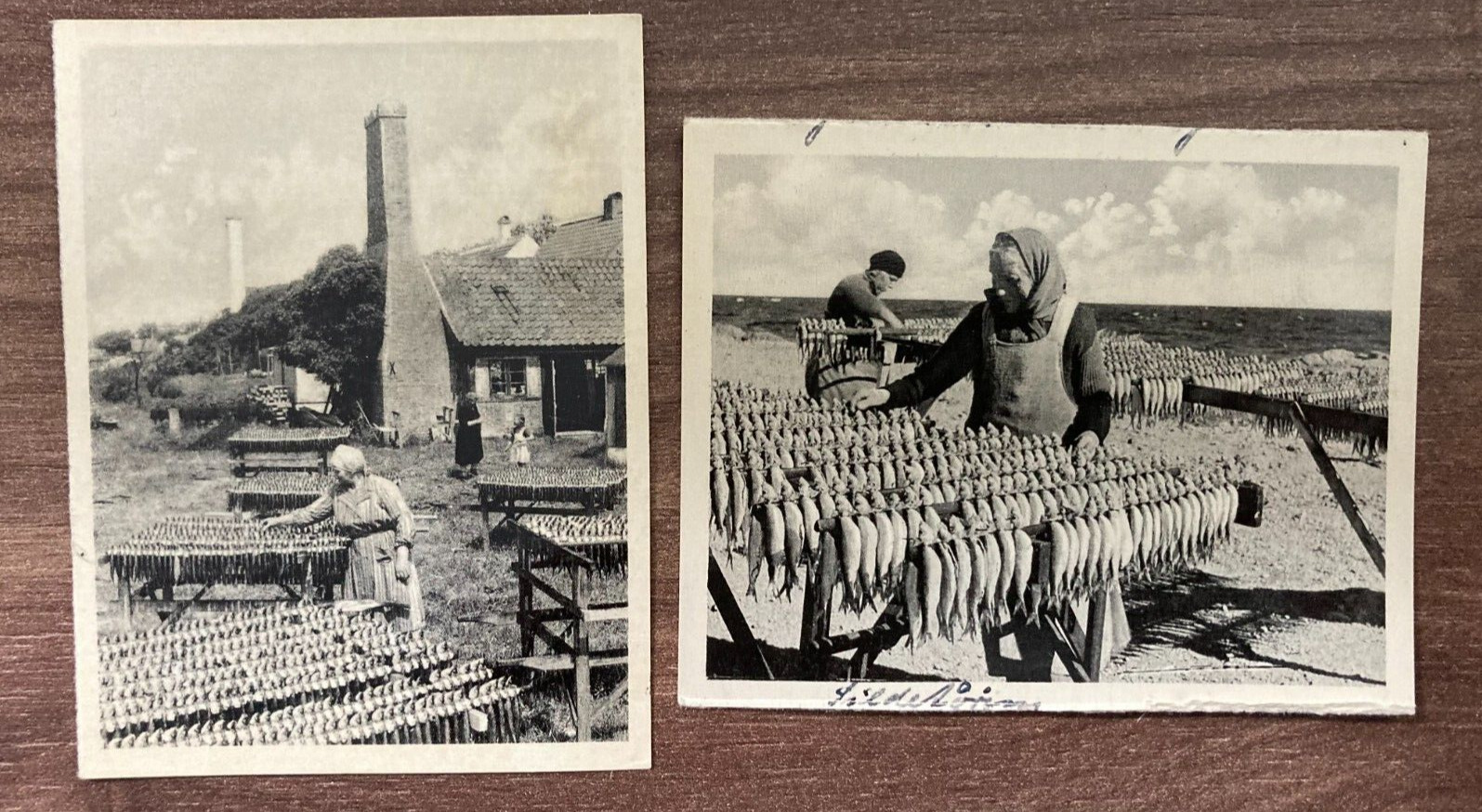 Vintage Early 1900s Danish Photos "Sildetørring" - 2 Photos - Herring Drying 9*7