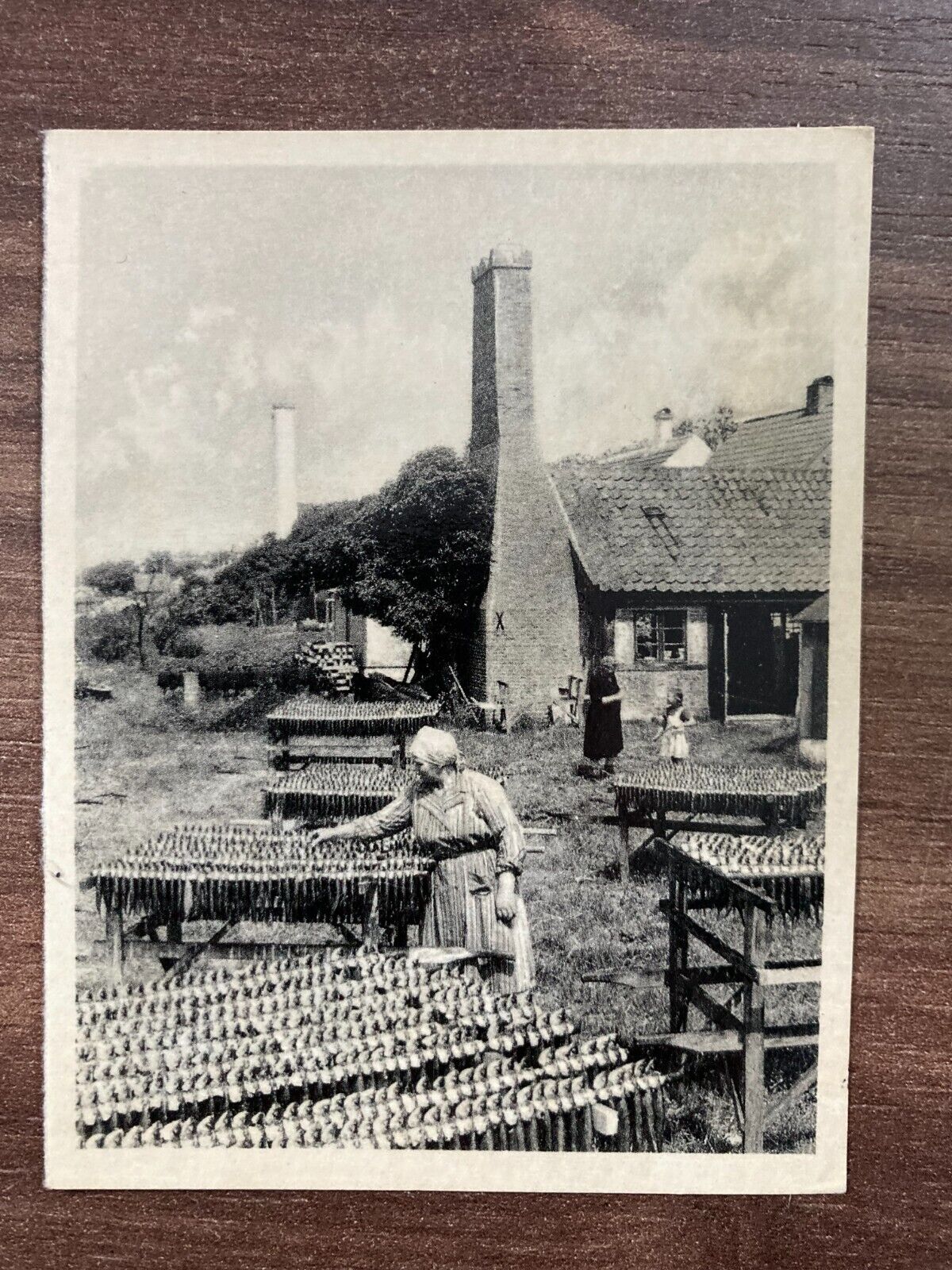 Vintage Early 1900s Danish Photos "Sildetørring" - 2 Photos - Herring Drying 9*7