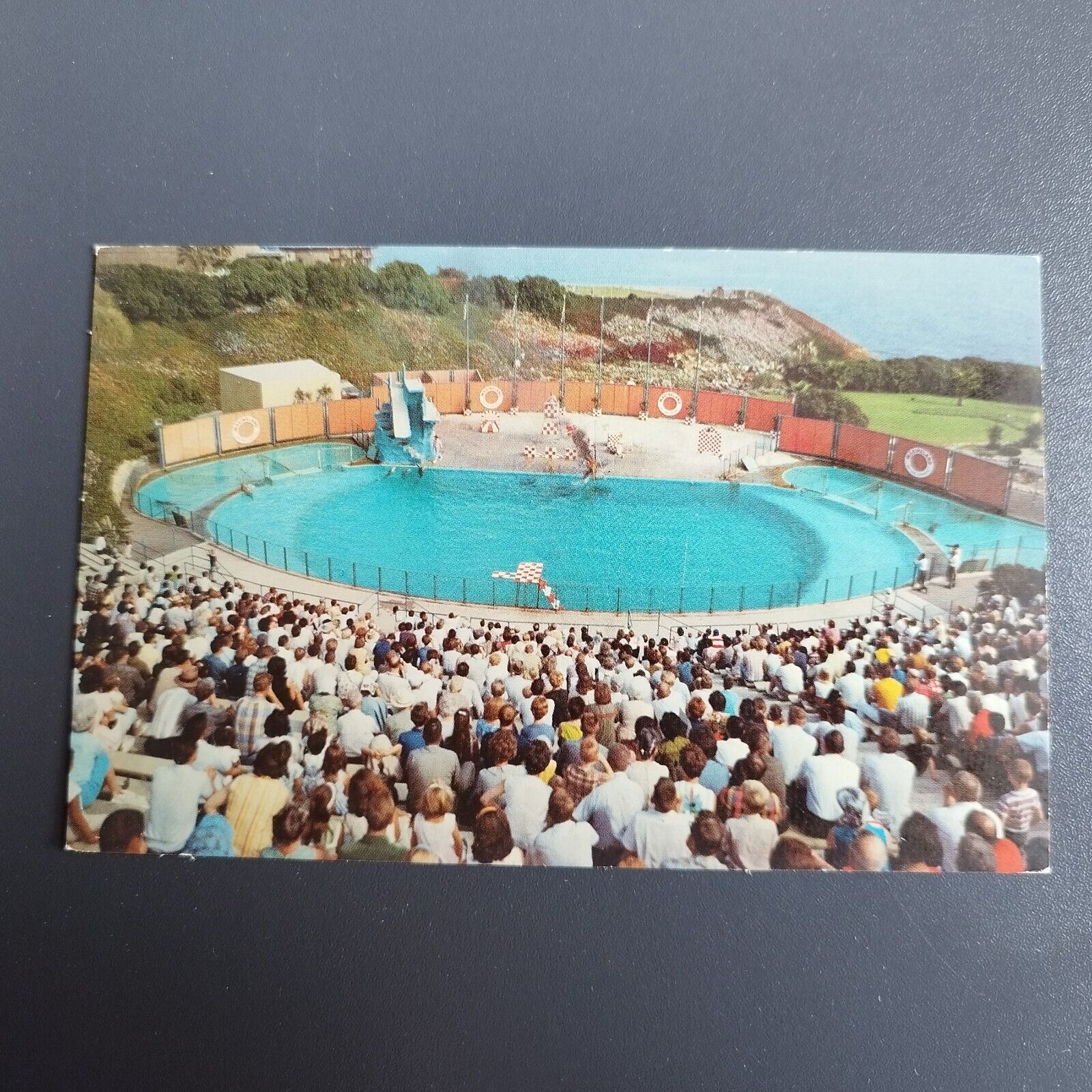 California Los Angeles The Sea Arena Marineland Of The Pacific