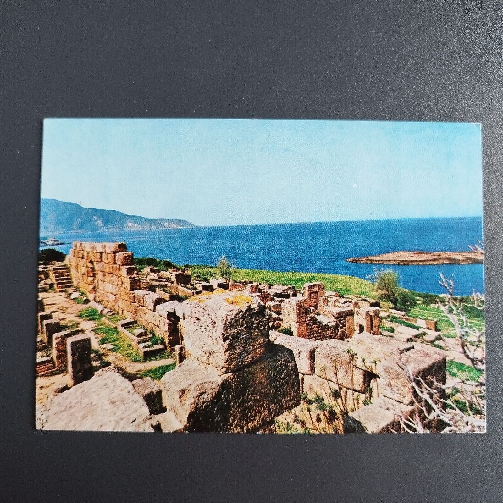 Algeria Tipaza Ruines Romaine Roman ruins Vintage postcard