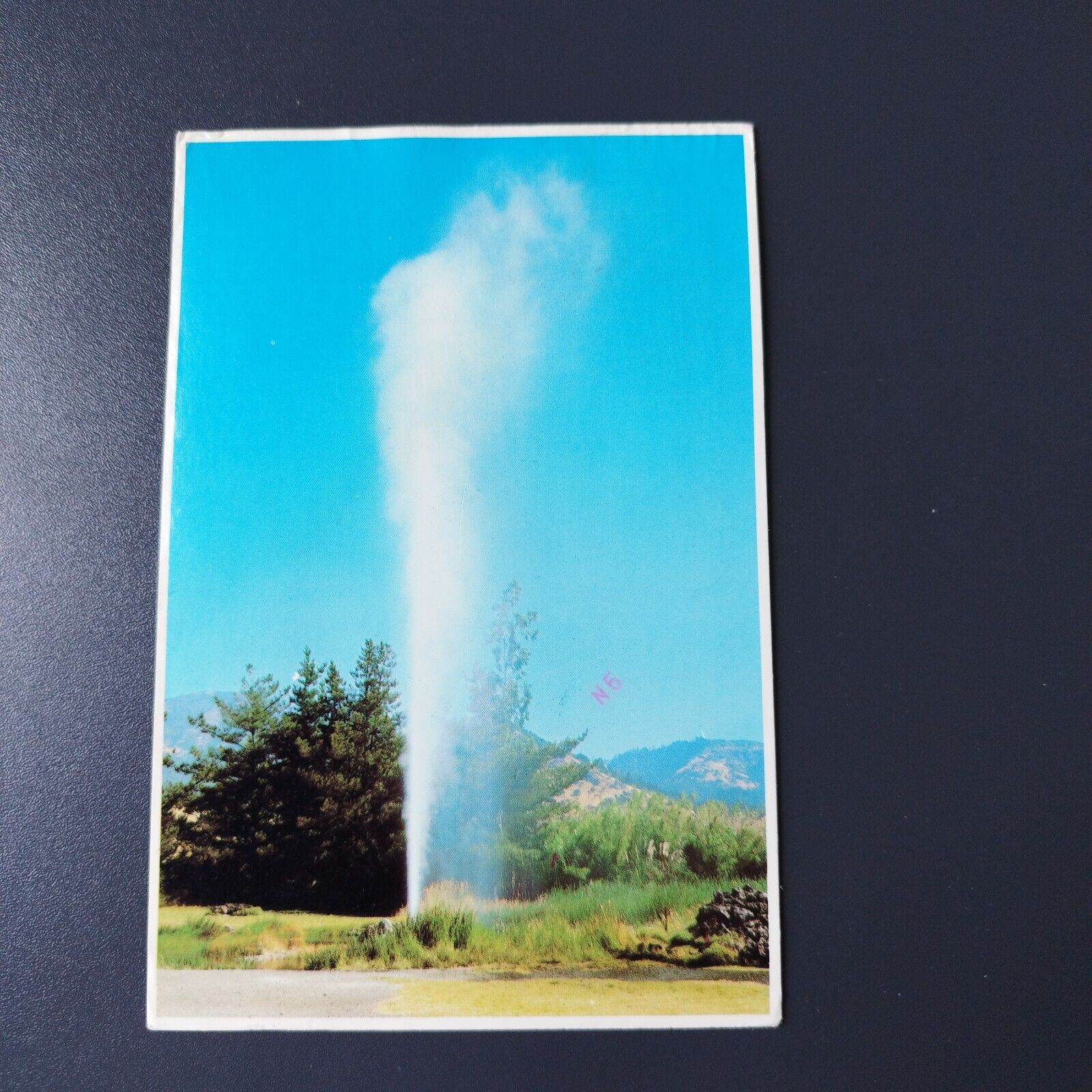 California Old Faithful Geyser Calistoga at the foothills of MtStHelena