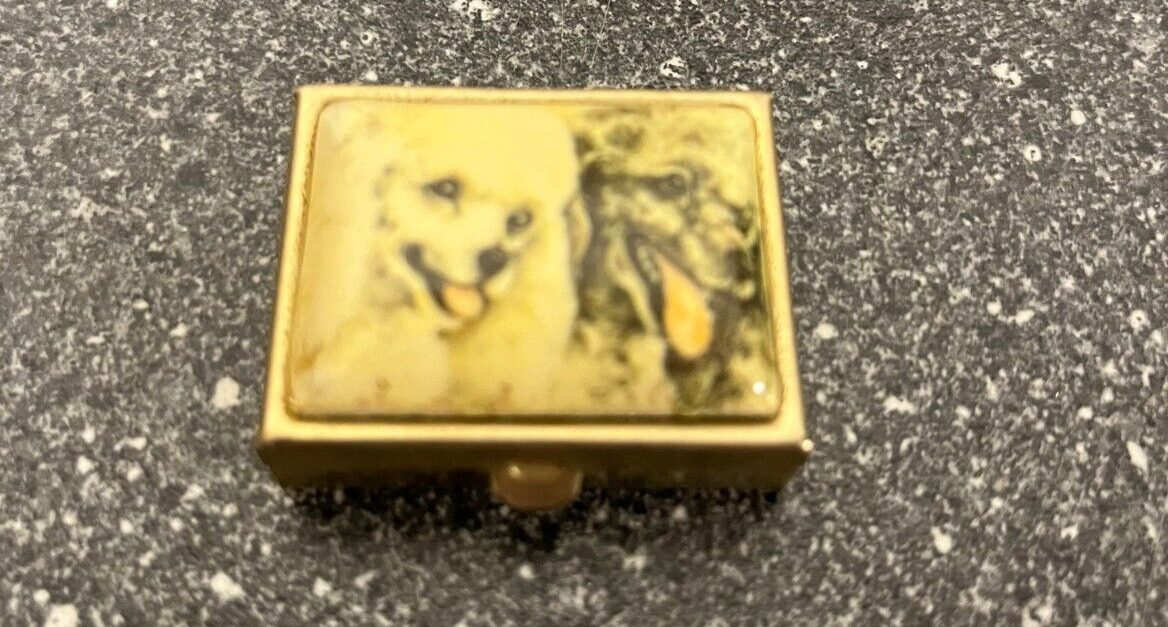 Vintage Rectangular Dog Scene Pill Box with Gold-Toned Metal Edging