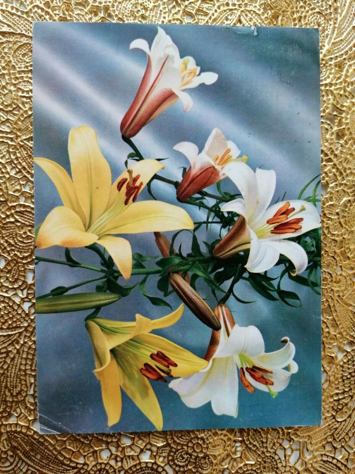 Vintage and collectible Danish flower postcardPosted in 1979 ( No A 12 )