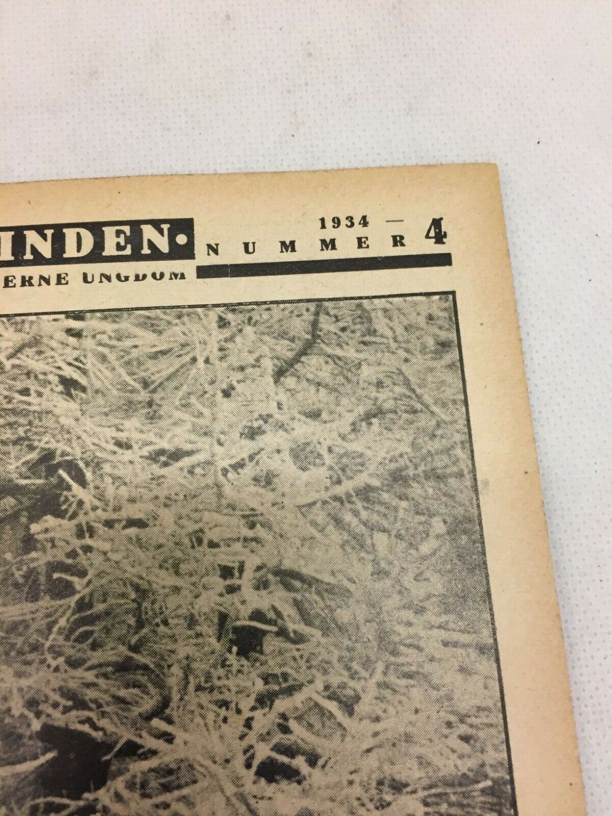 Kathleen Burke Complete Antique Vintage Danish Magazine 1934 Københavnerinden