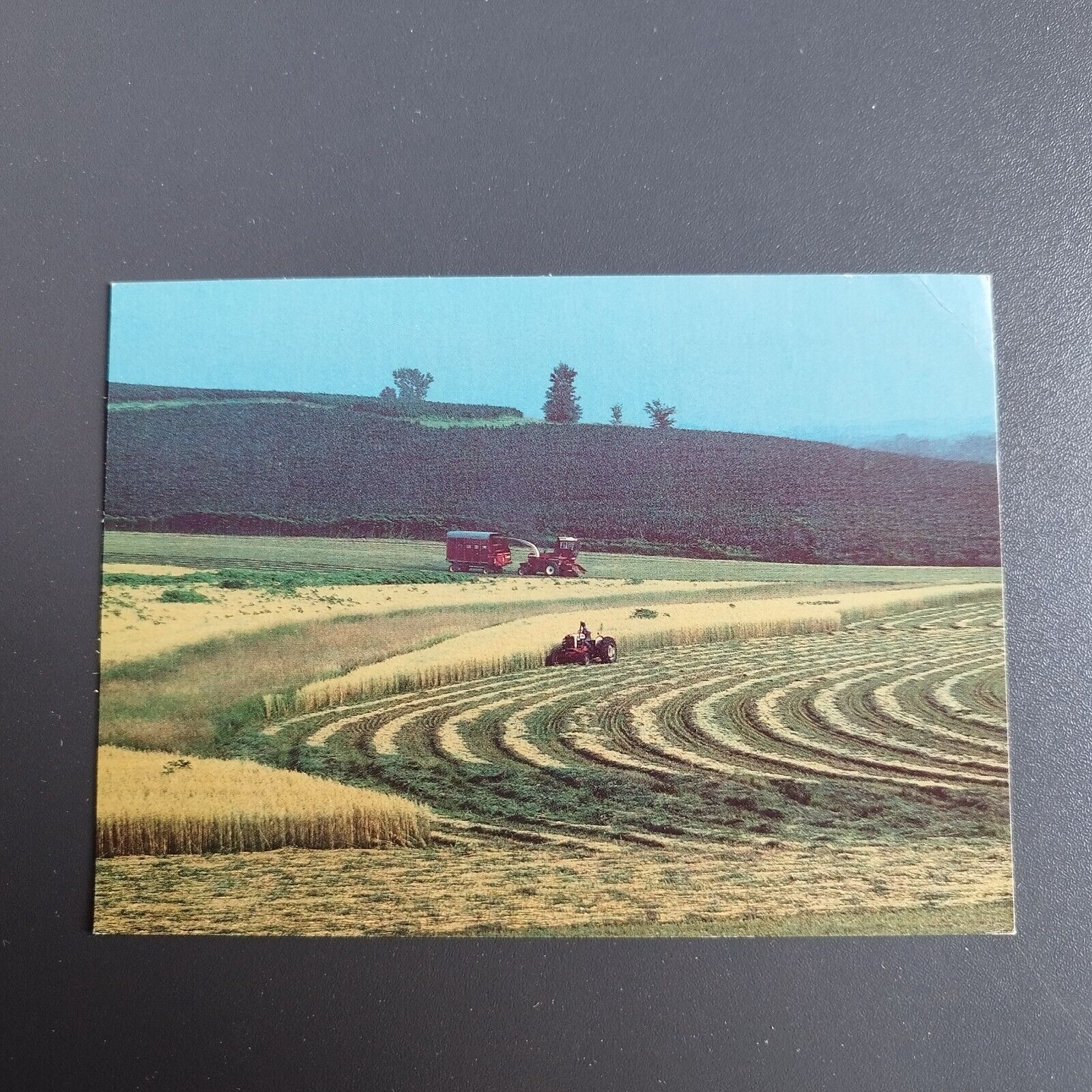 Iowa Iowa Harvest Photo by Joan Liffring-Zug 1985