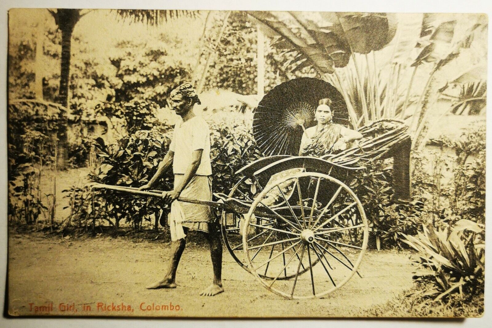 Old postcard: Tamil Girl in Ricksha Colombo Sri Lanka Mailed in 1907 pok1430