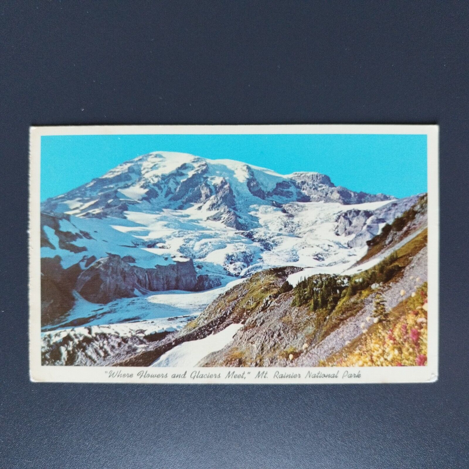 Washington"Where Flowers And Glaciers Meet" MtRainier National Park1966