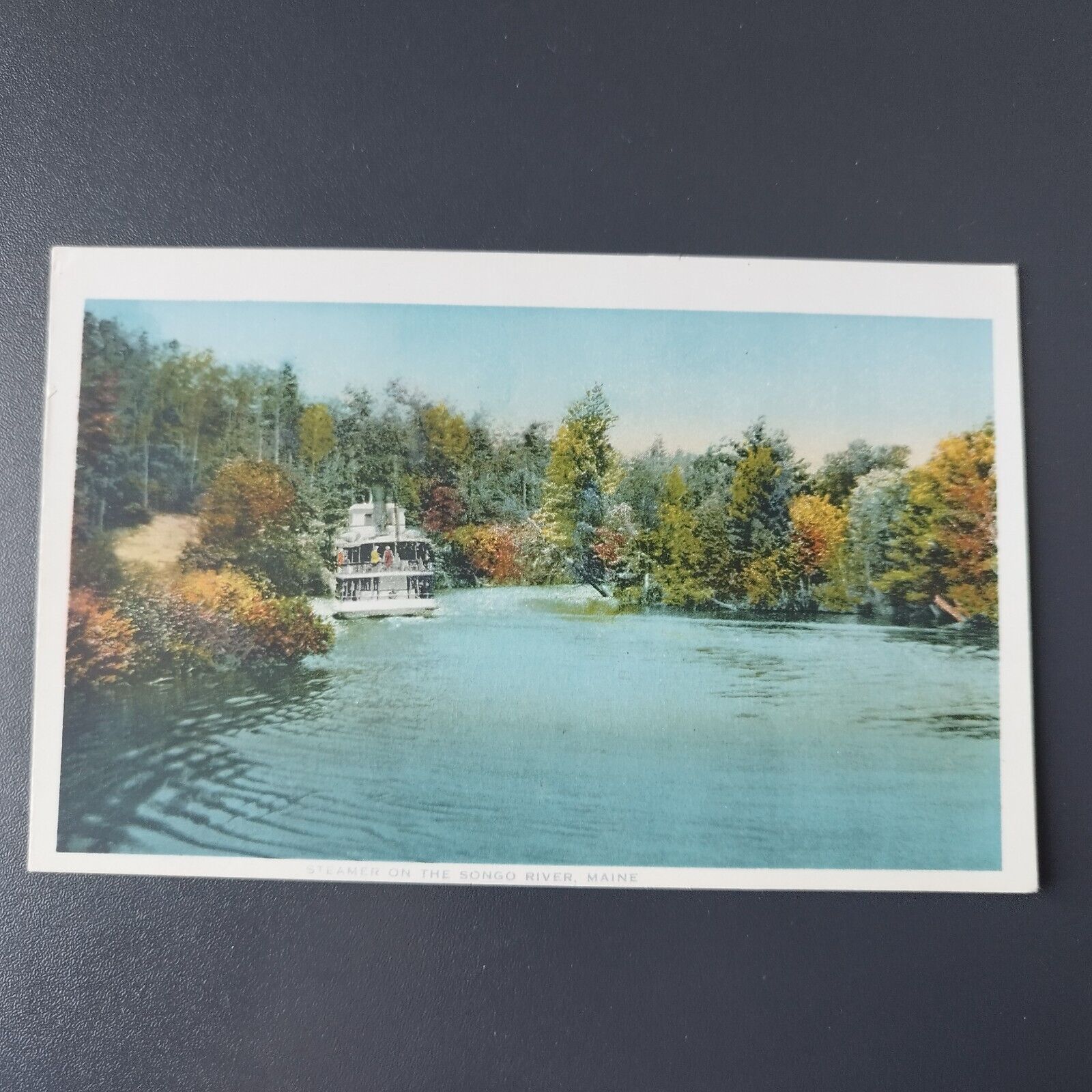 Maine Steamer on the Songo  River Publ by Chisholm Bros