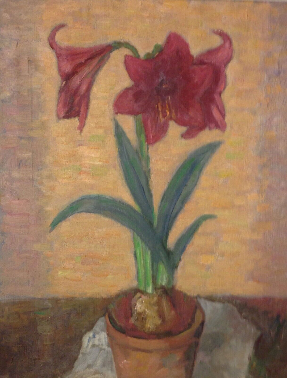 Flower Pot with Red Amaryllis