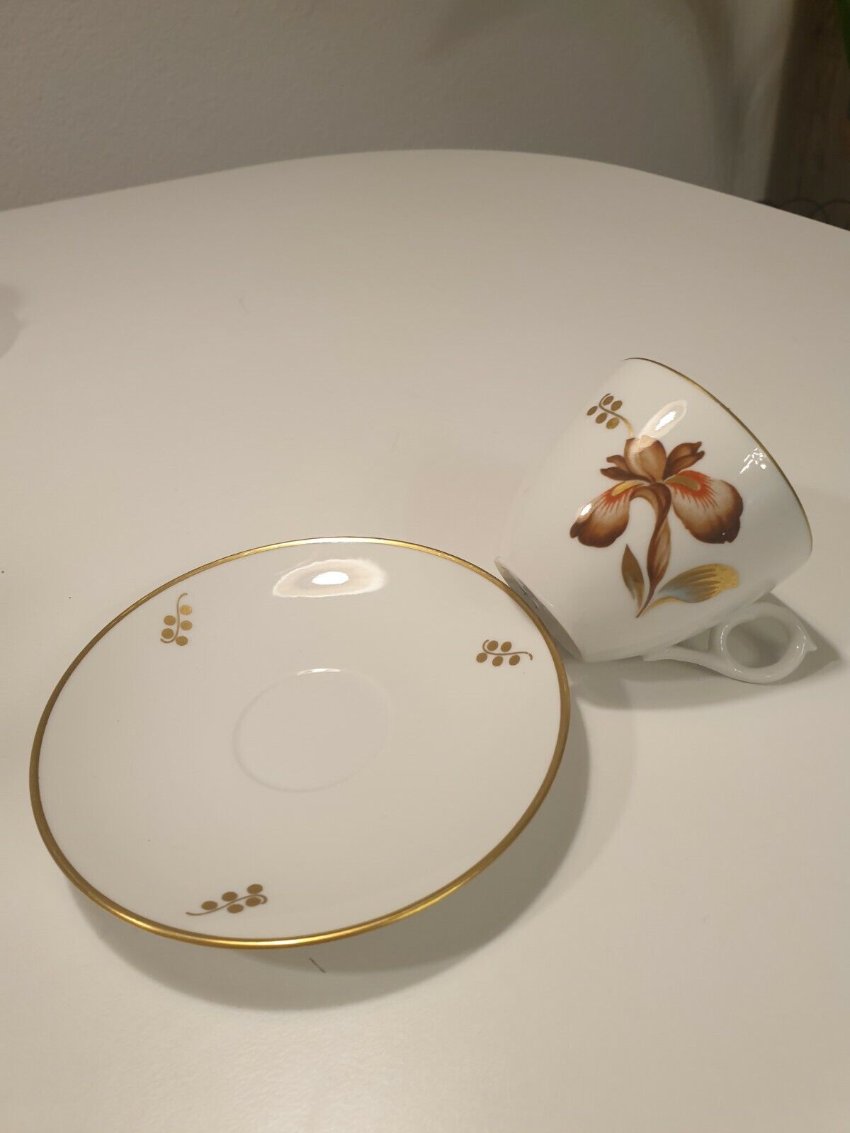 ROYAL COPENHAGEN Brown Iris cup and saucer BEST QUALITY