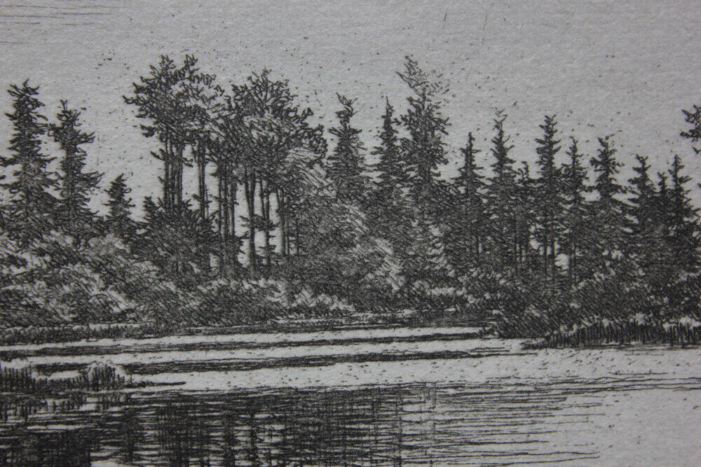 Josepha Martensen etching Female artist A forest lake North of Copenhagen