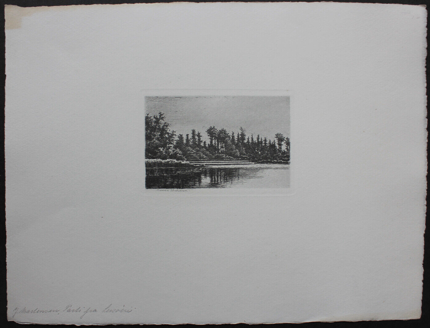 Josepha Martensen etching Female artist A forest lake North of Copenhagen