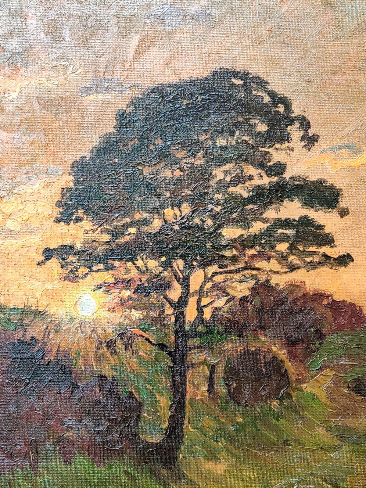 Axel Haldrup (1890-1977): SUNSET BEHIND TALL TREE Original oil