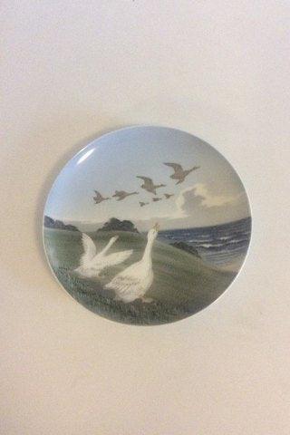 Royal Copenhagen Motif plate with Geese No 1508/1125