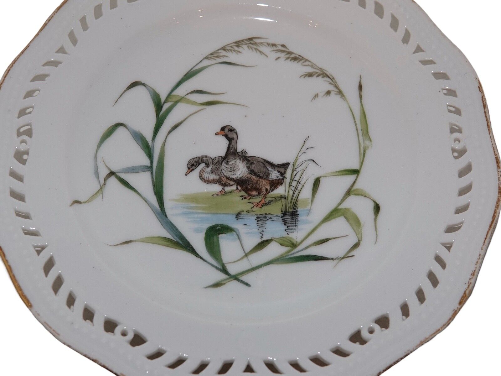 Royal Copenhagen Flora Danica Luncheon plate with two ducks - Antique