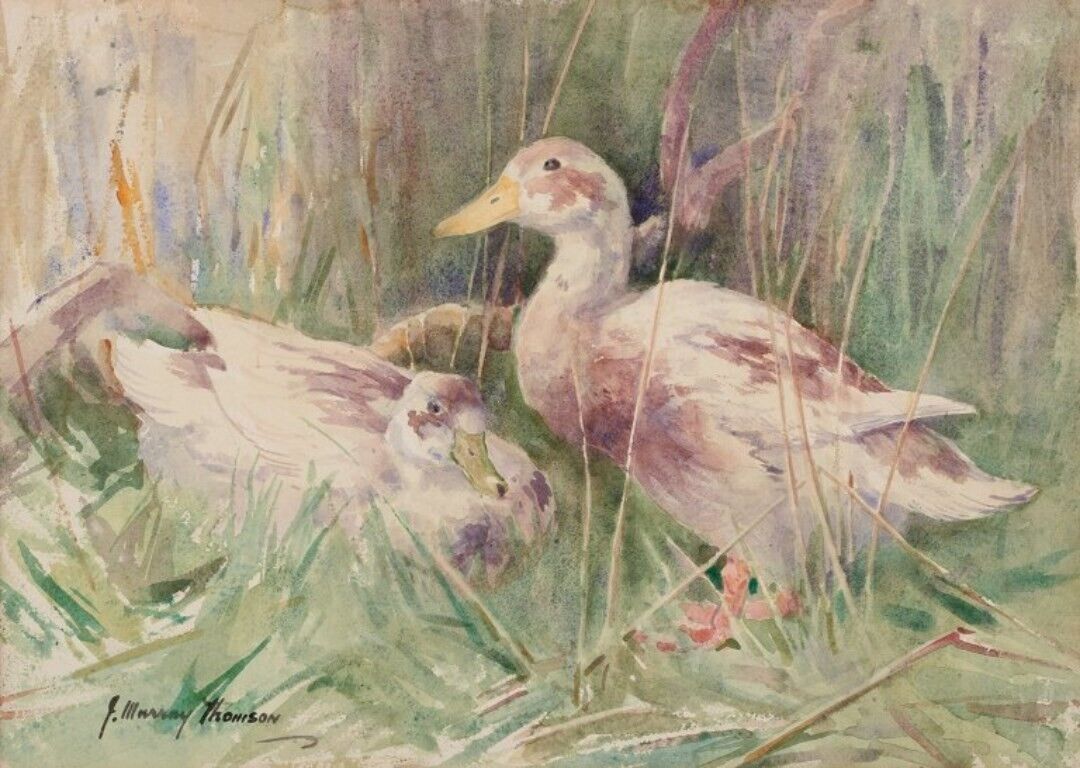 John Murray Thompson Watercolor on paper  Ducks in a landscape