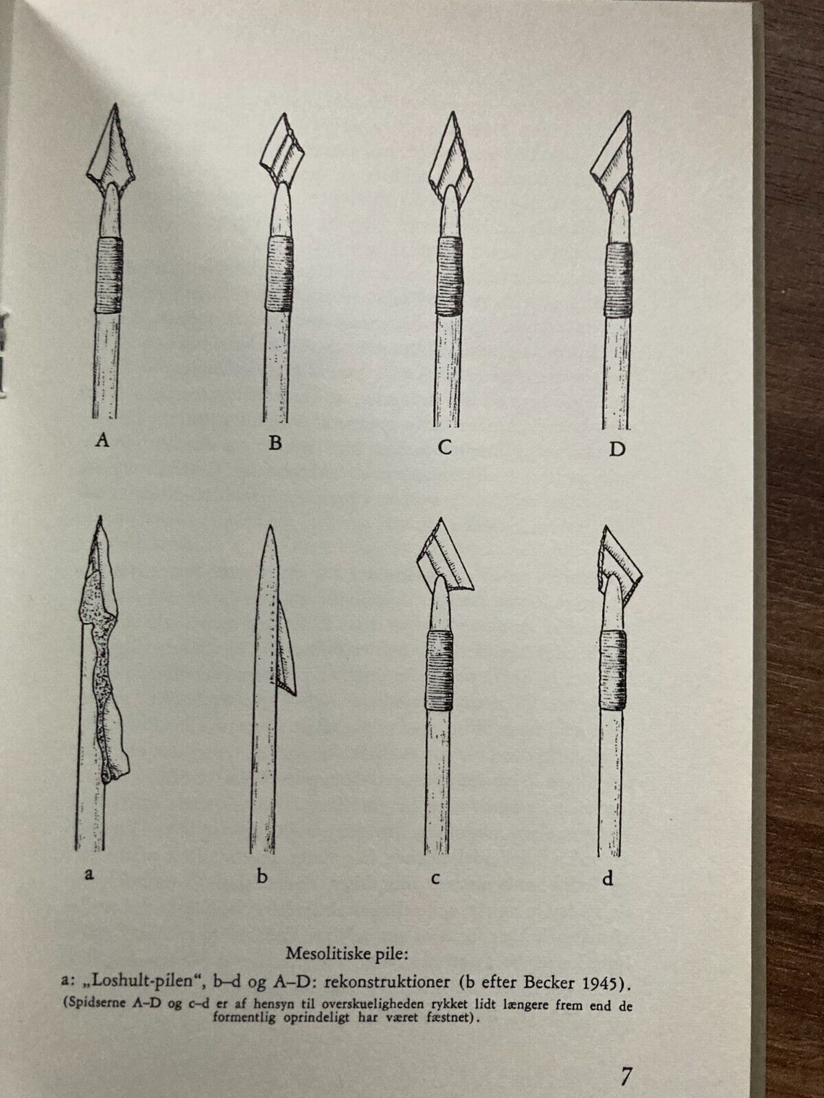 Danish Ertebølle Microlith Flint Scrapers Authenticated by Torben B Bernhardsen