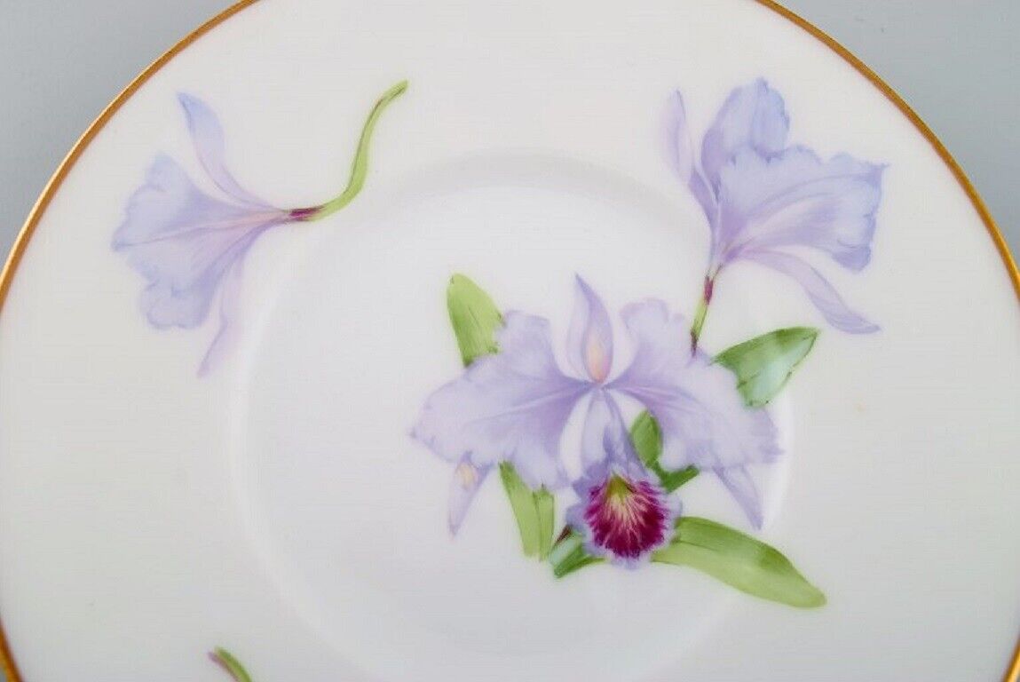 Twelve antique unique Royal Copenhagen porcelain plates with iris flowers