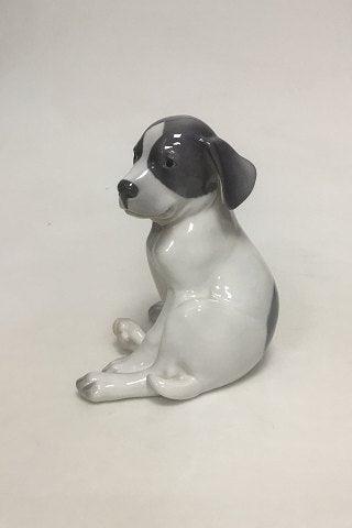 Royal Copenhagen Figurine of Pointer Puppy no 051 (259)