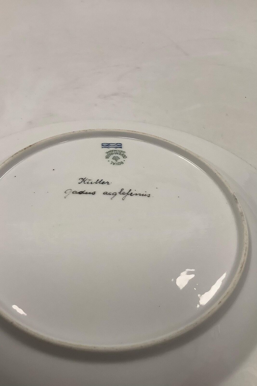 Royal Copenhagen Privately painted Flora Danica Fish plate No 3549