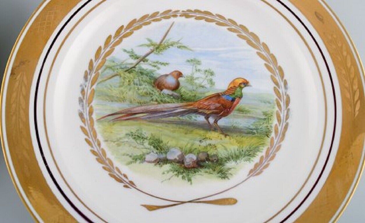 Royal Copenhagen Set of five large dinner / decoration plates with bird motifs