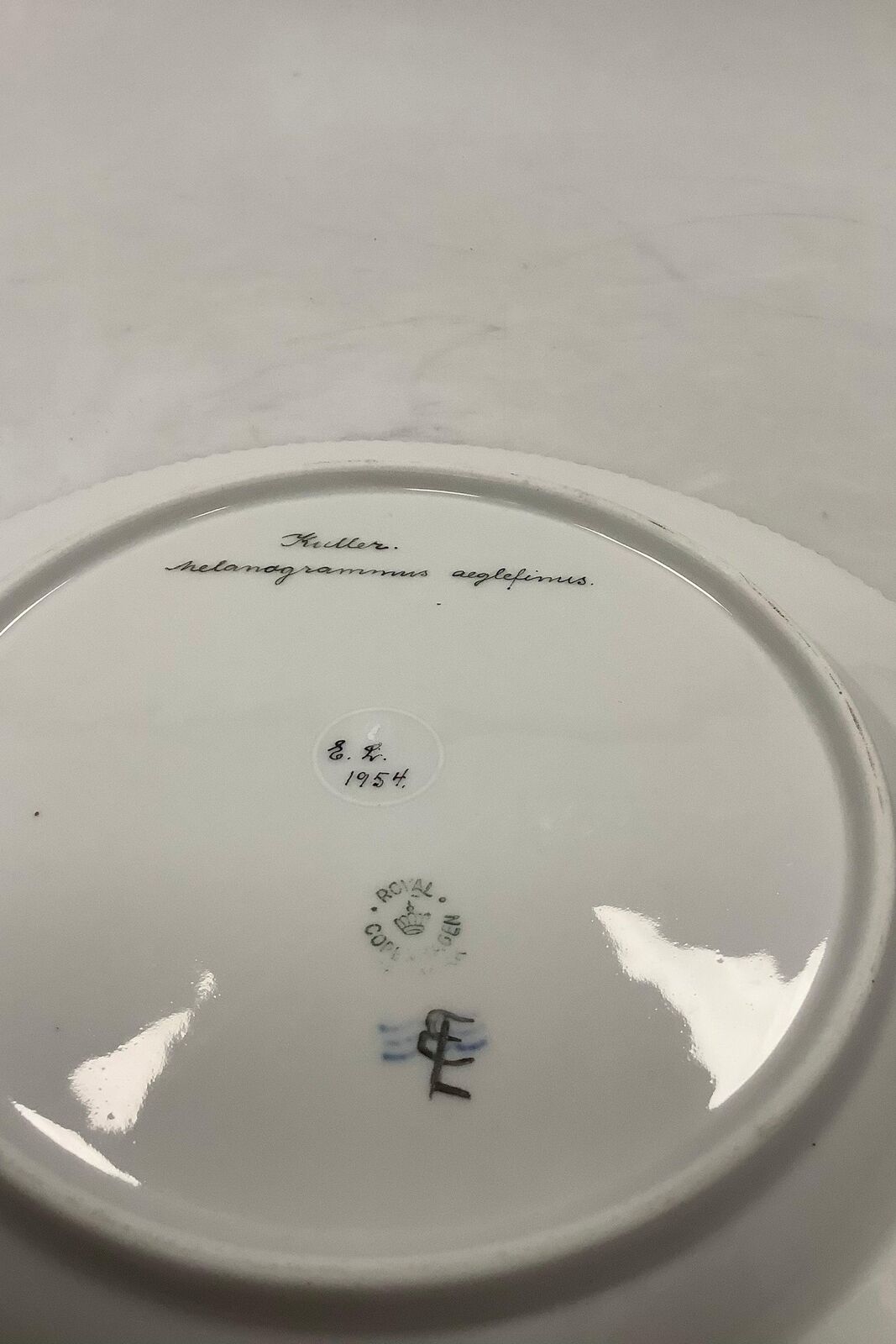 Royal Copenhagen Privately painted Flora Danica Fish plate No 3549