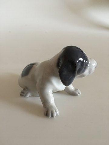 Royal Copenhagen Figurine Pointer Puppy No 1311 pre 1923