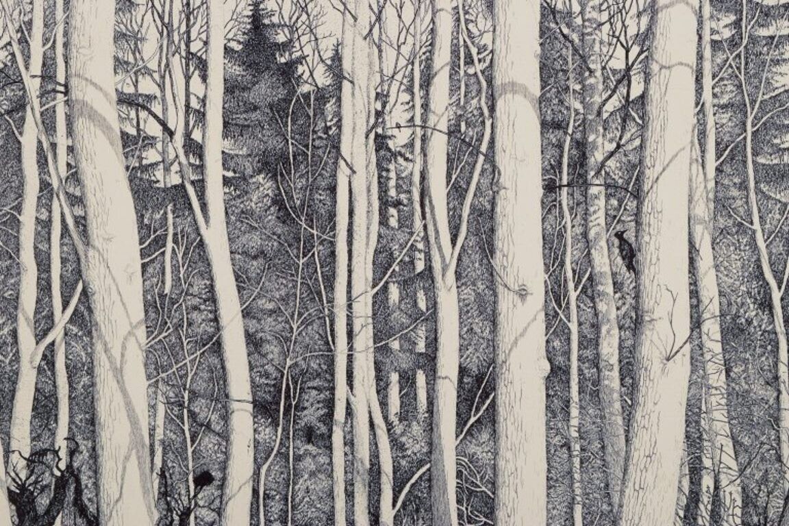 Eva Holmén-Edling (1942) Swedish artist Woodcut on Japan paper Forest scene