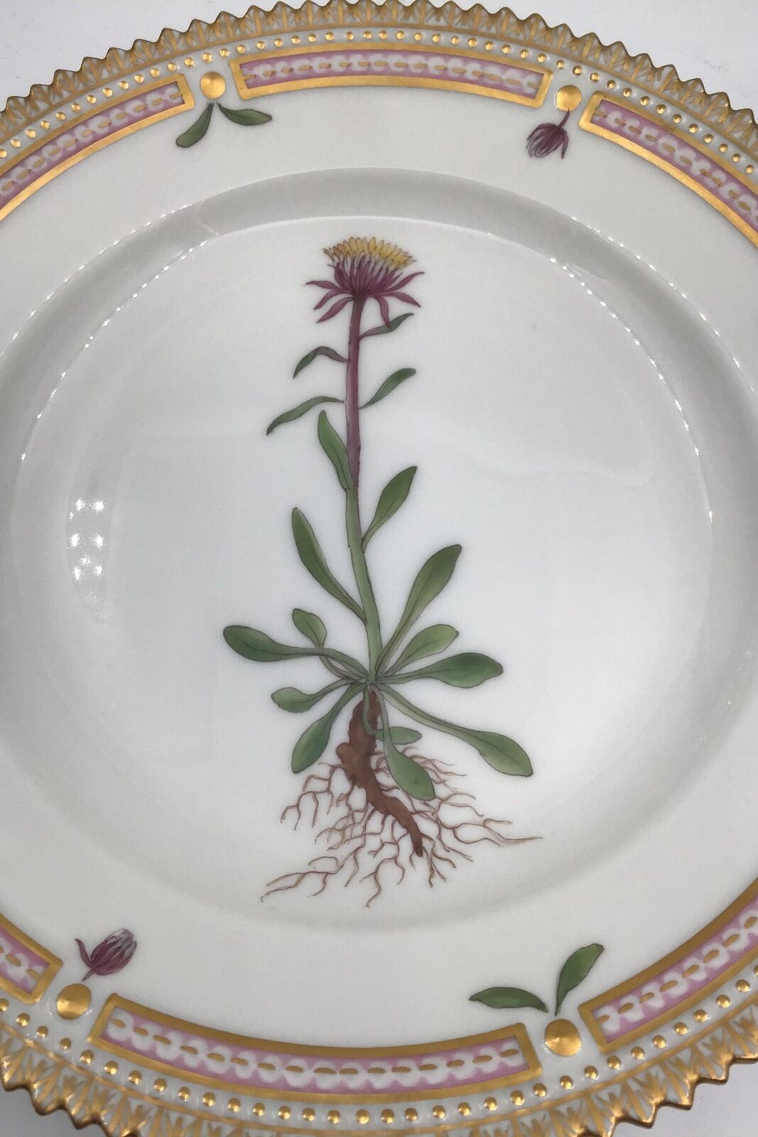 Royal Copenhagen Flora Danica Dessert Plate No 20/3551