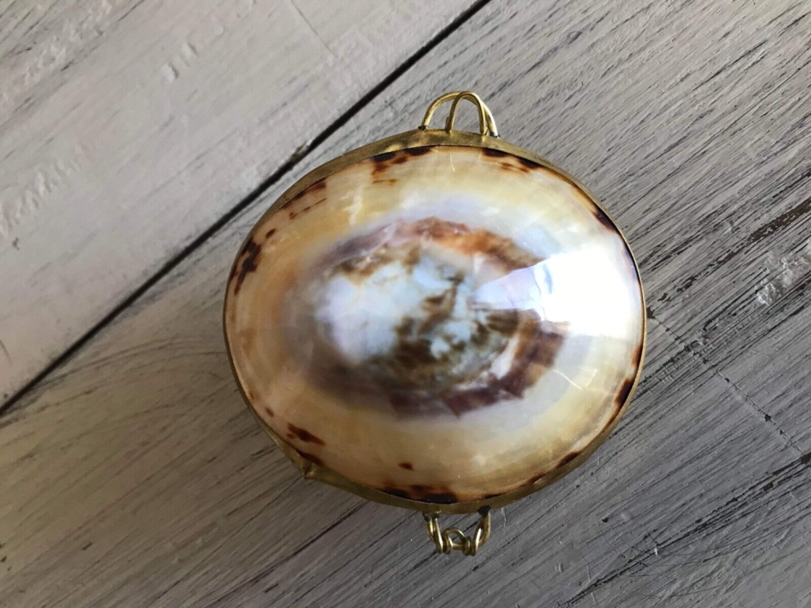 Vintage Shell Trinket Box