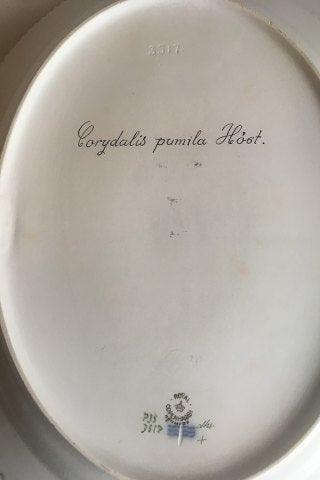 Royal Copenhagen Flora Danica Oval Serving Tray No 735/3517