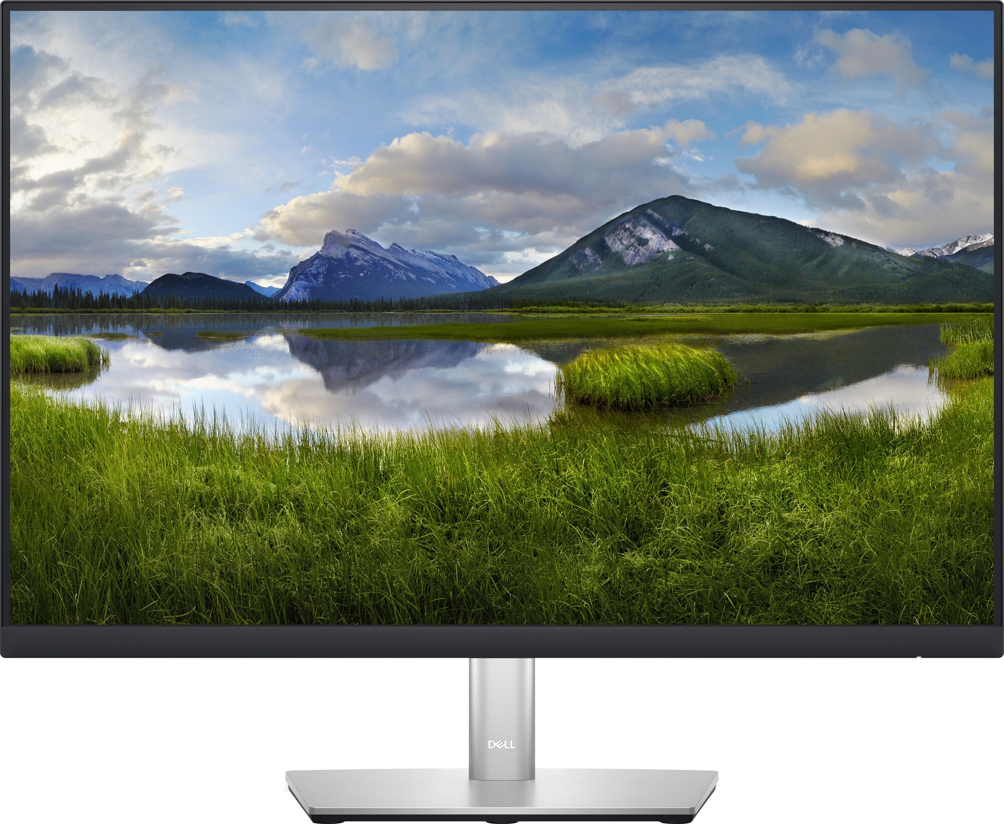 Dell P2423 24" skærm