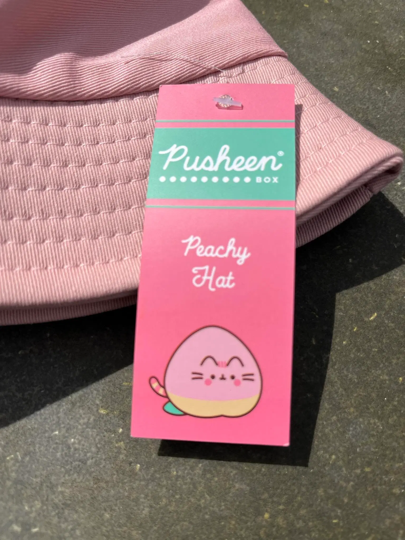 Pink Pusheen bøllehat