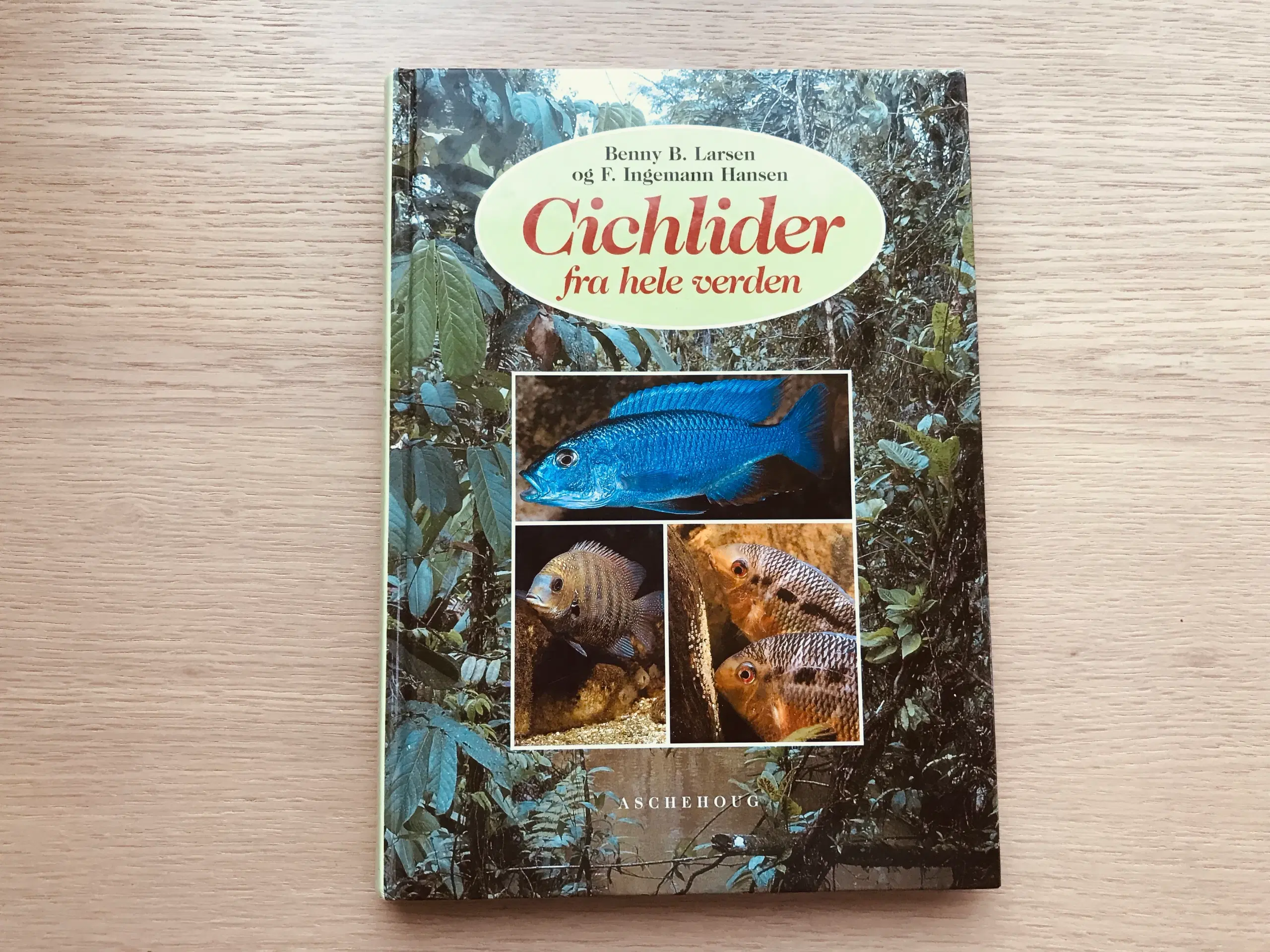 Cichlider fra hele verden