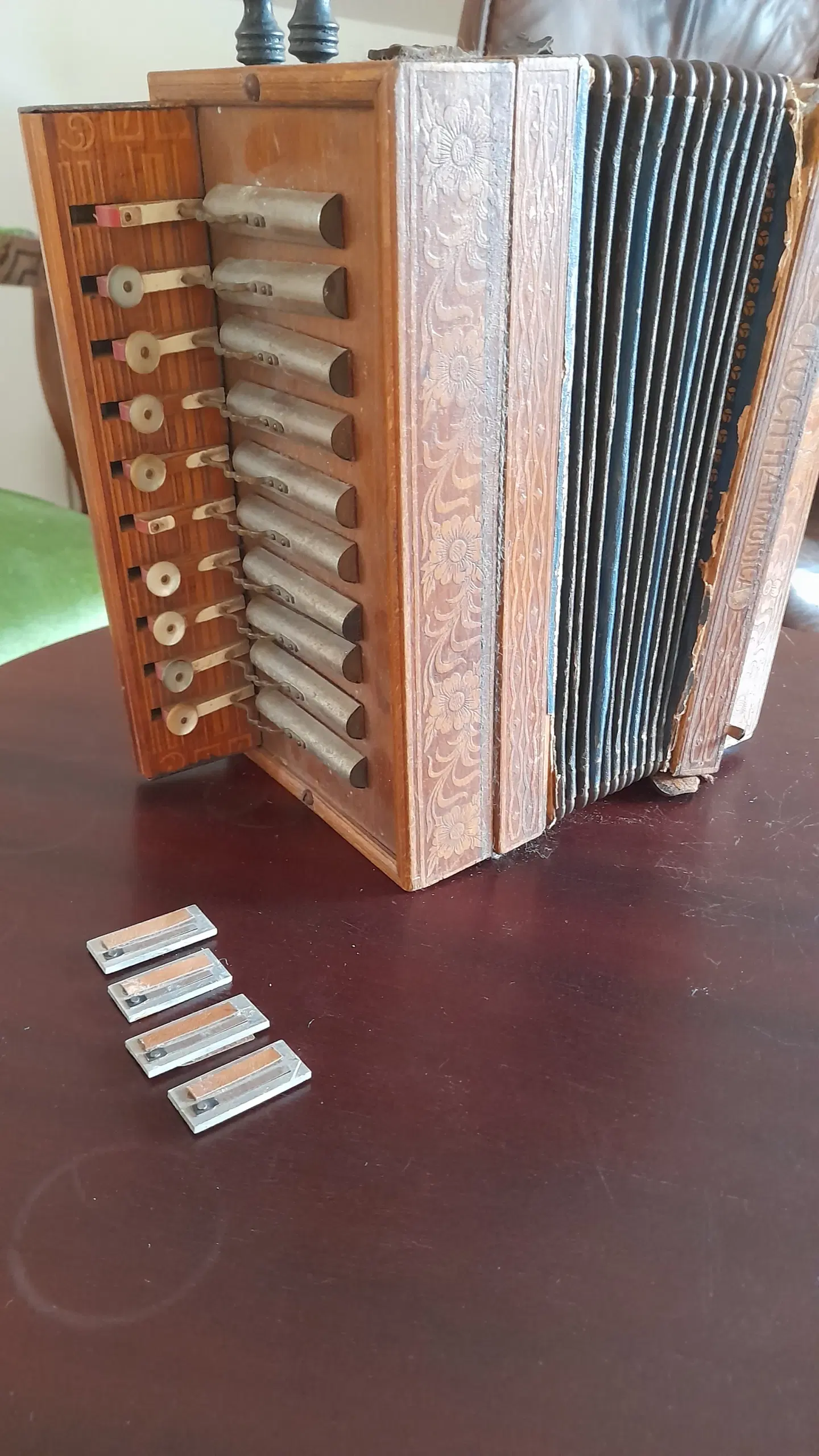 Koch harmonica