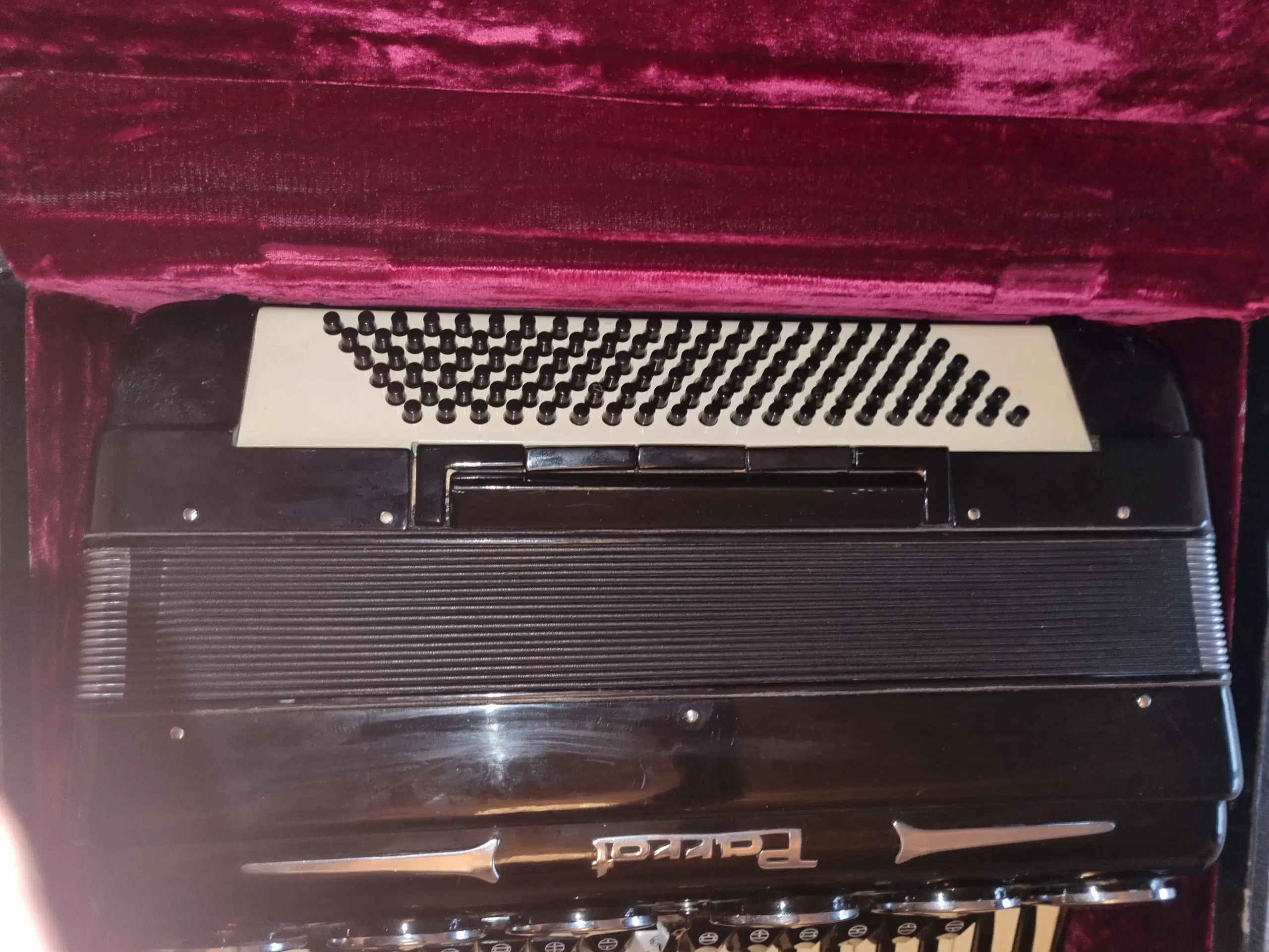 Parrot L311 mussete harmonika