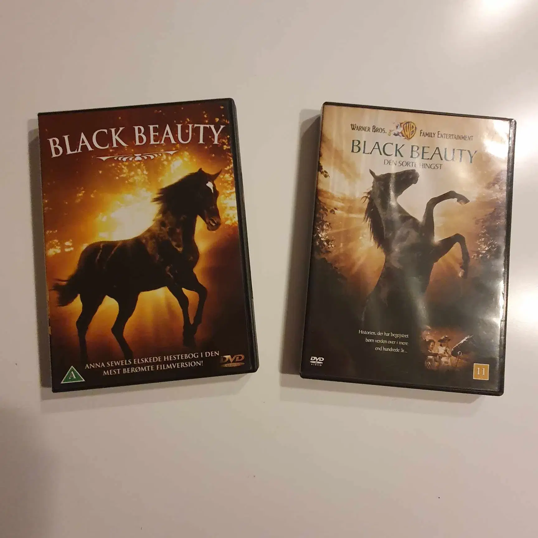 DVD film Black Stallion