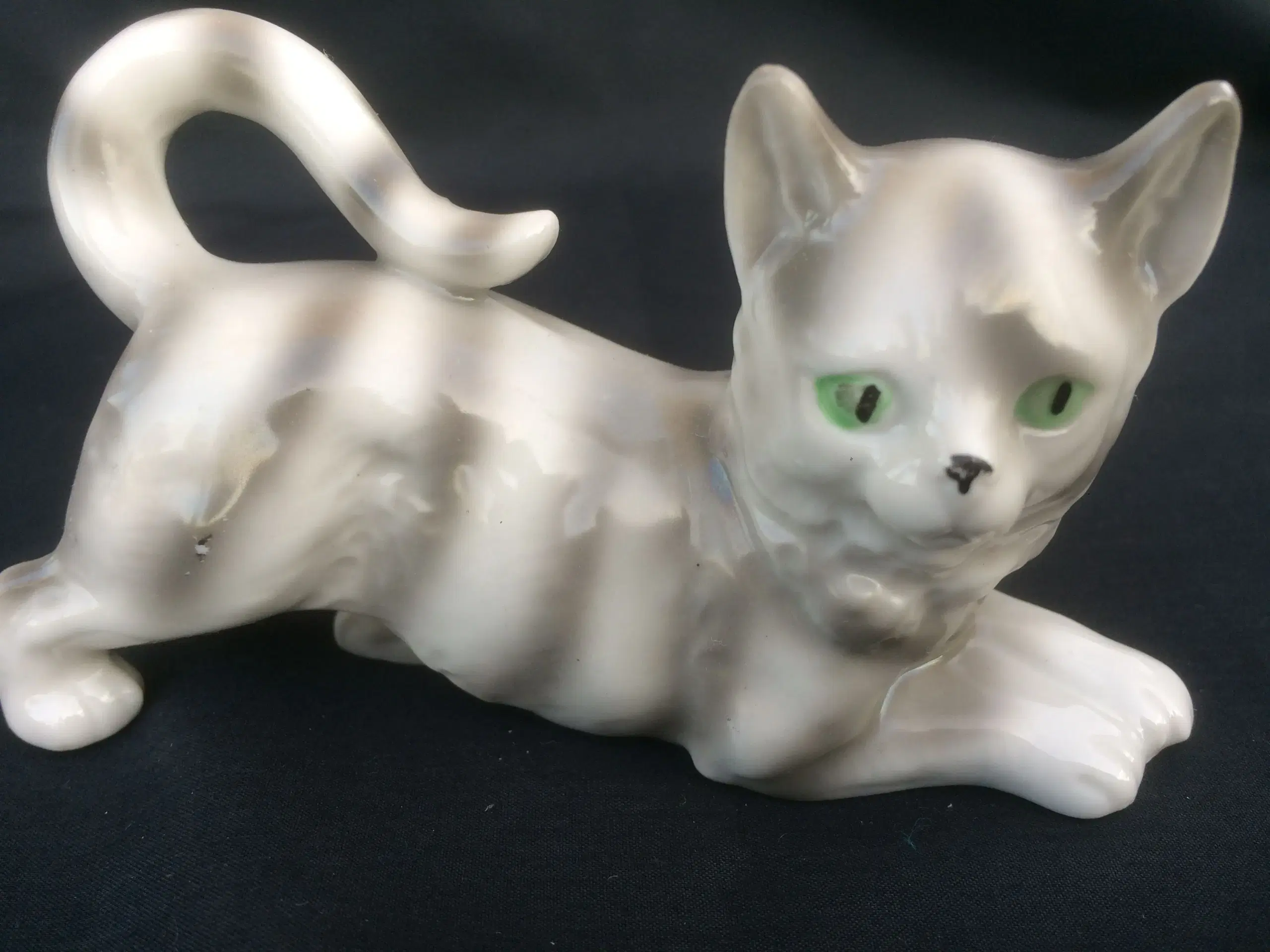 Foreign porcelæns kat