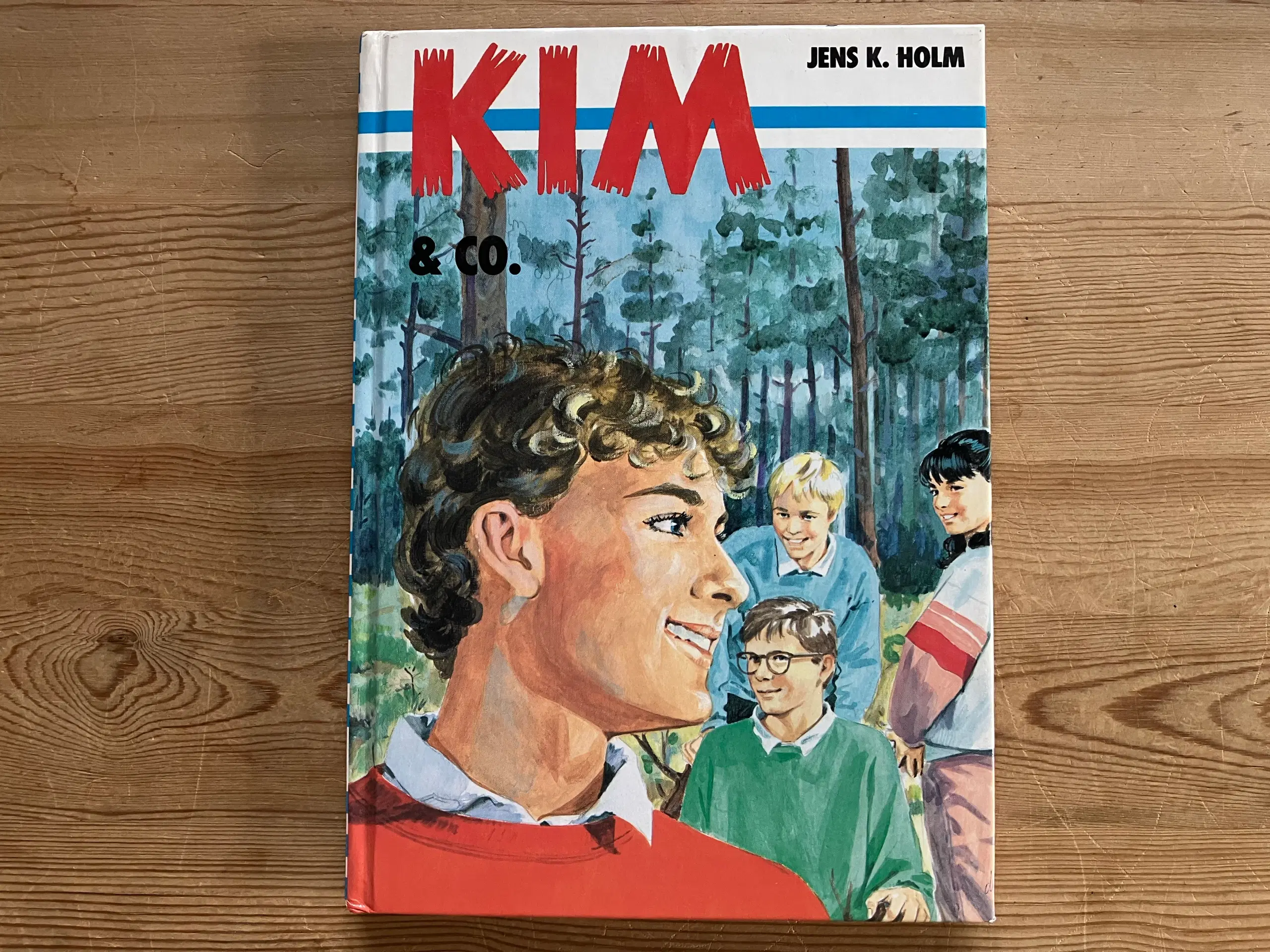 NEDSAT: 19 KIM bøger