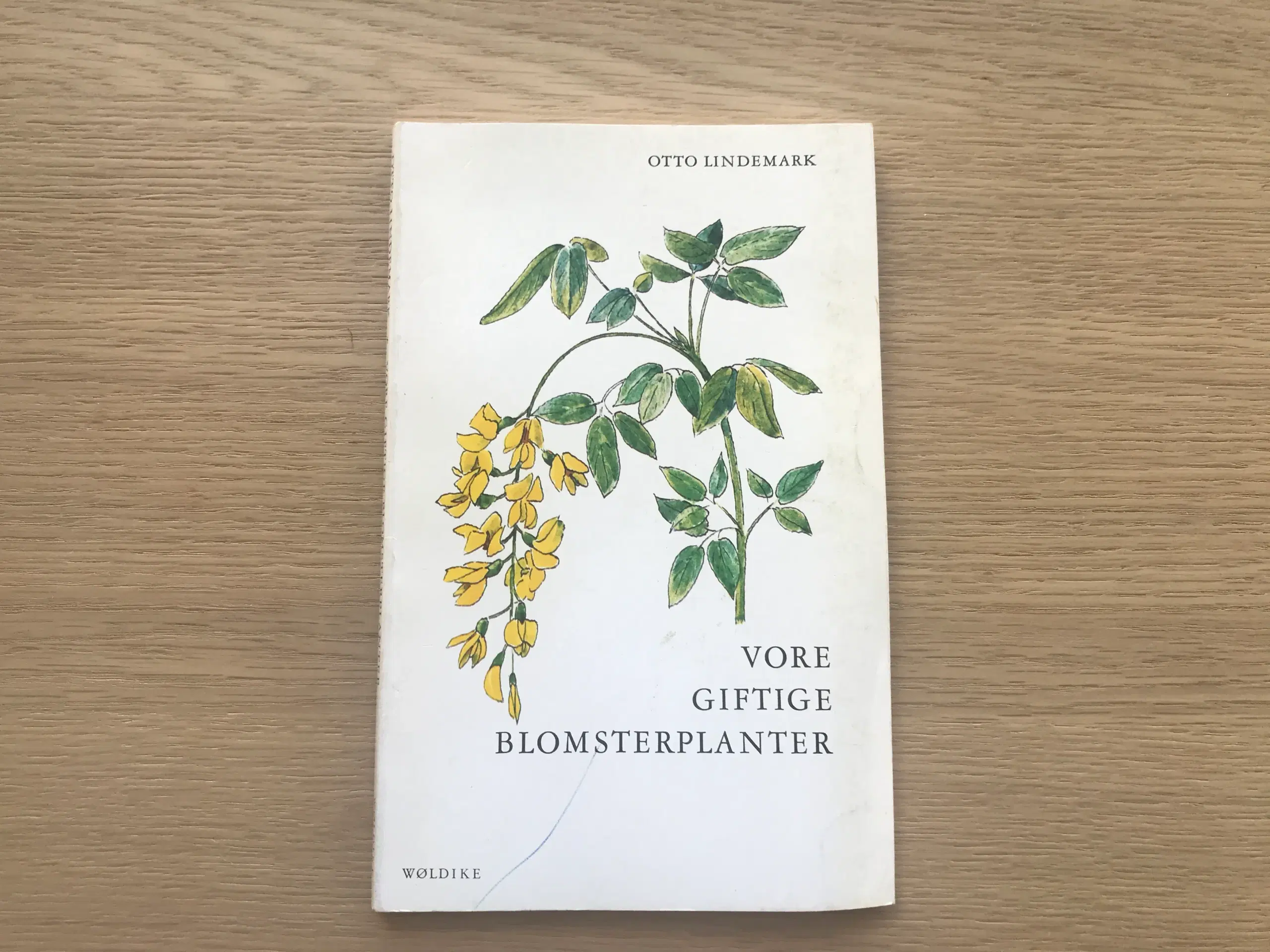 Vore Giftige Blomsterplanter