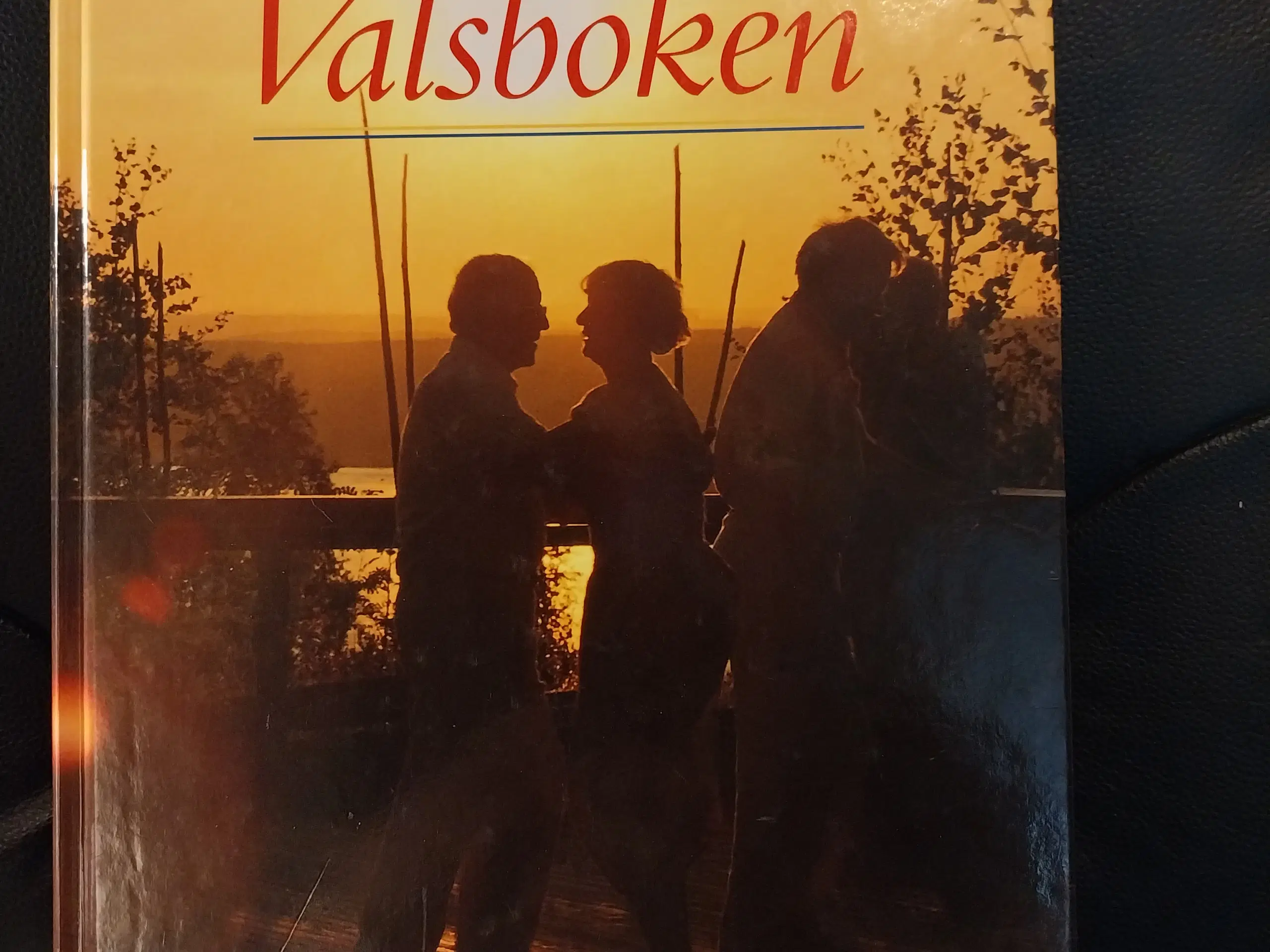 Den store svenske valsebog