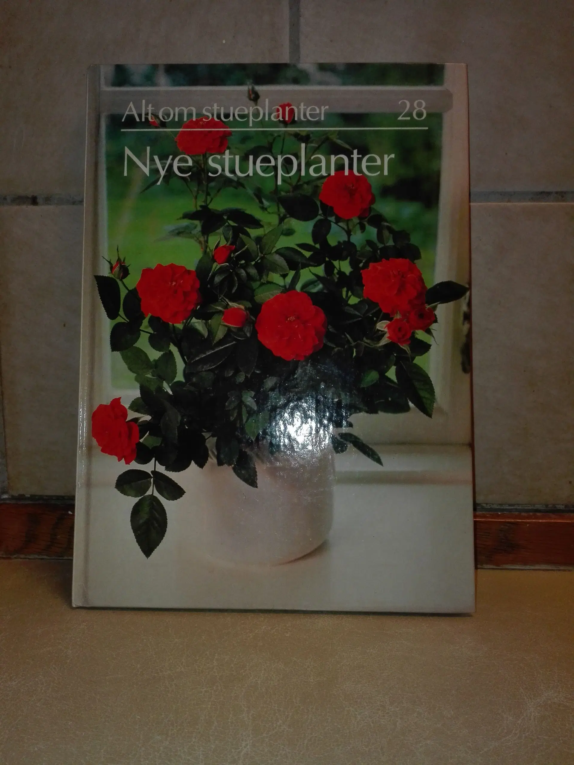 Alt om stueplanter 28 / Nye stueplanter