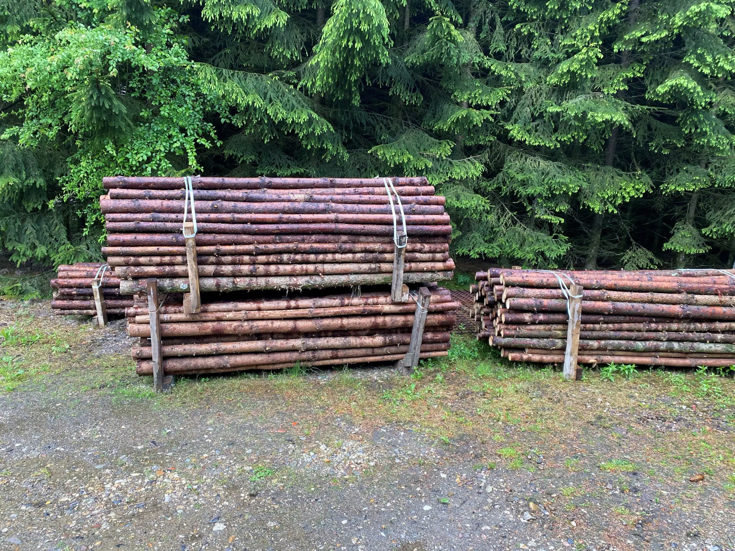 Granrafter længde op til 800 cm Ø 6-12 cm