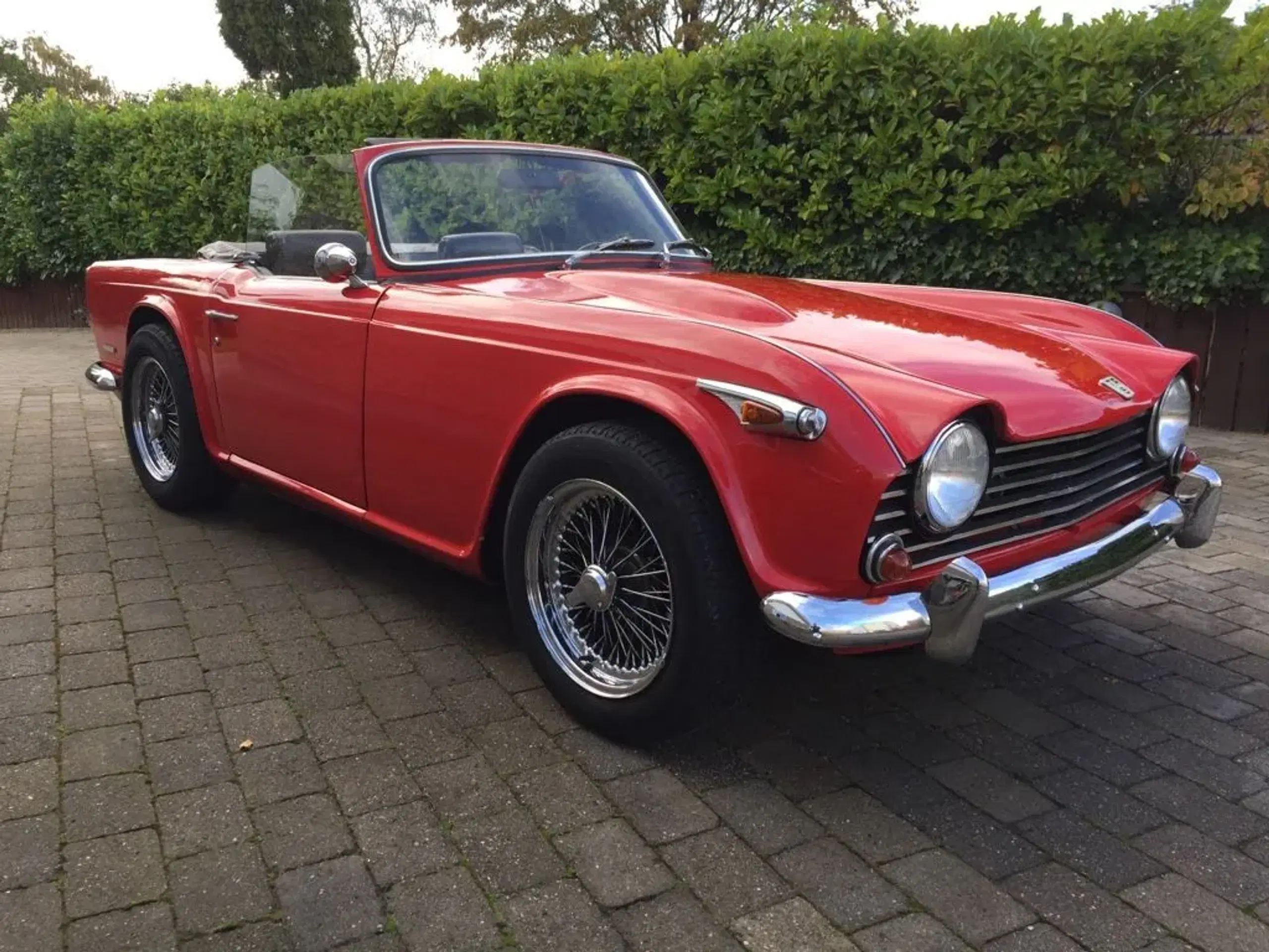 Triumph TR 5