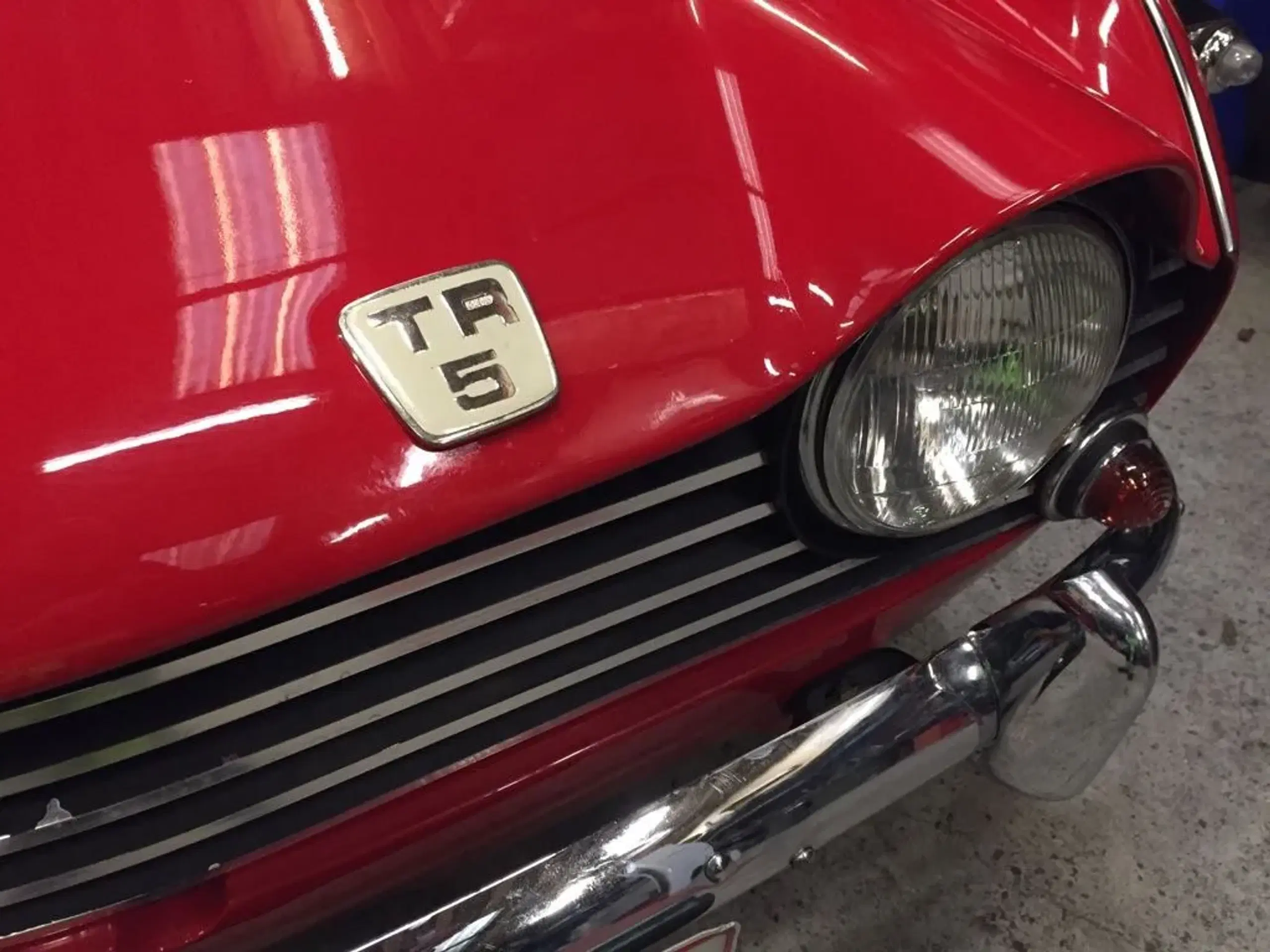 Triumph TR 5