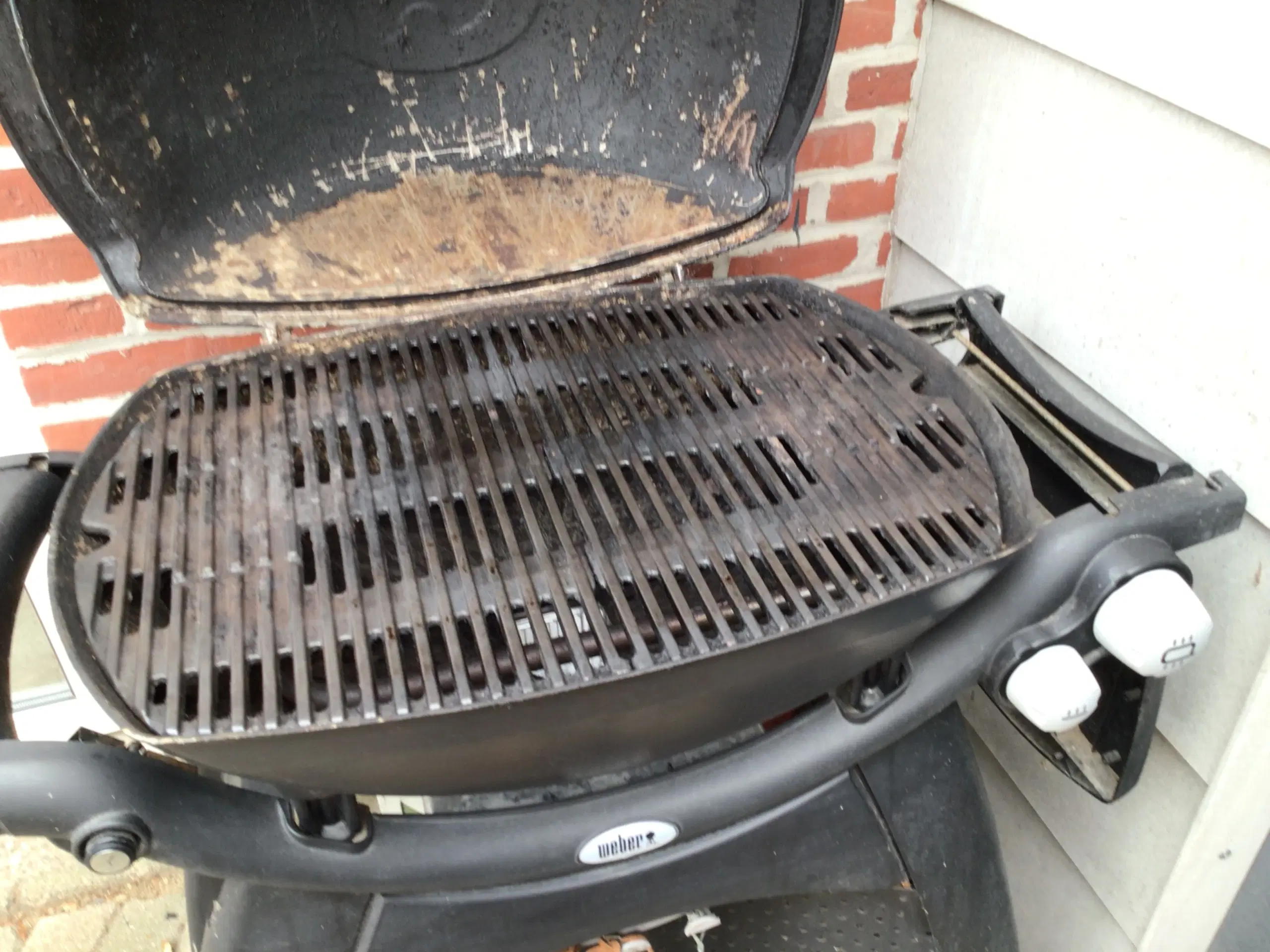 Gasgrill Weber Q3200