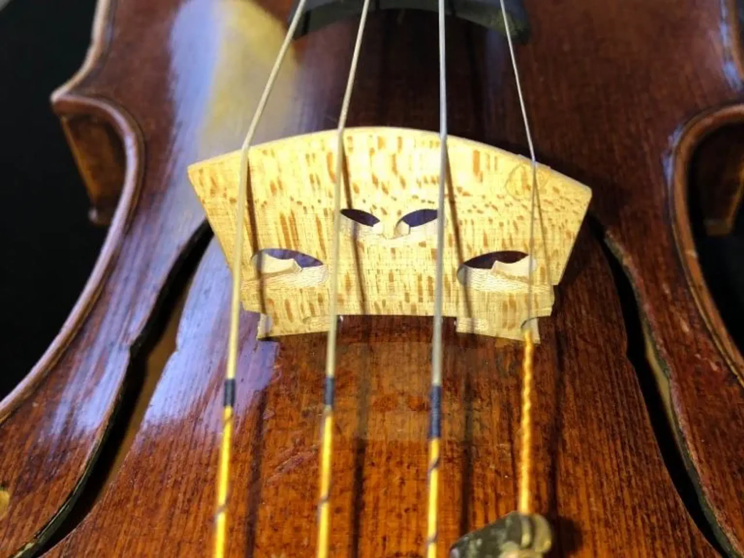 Violin