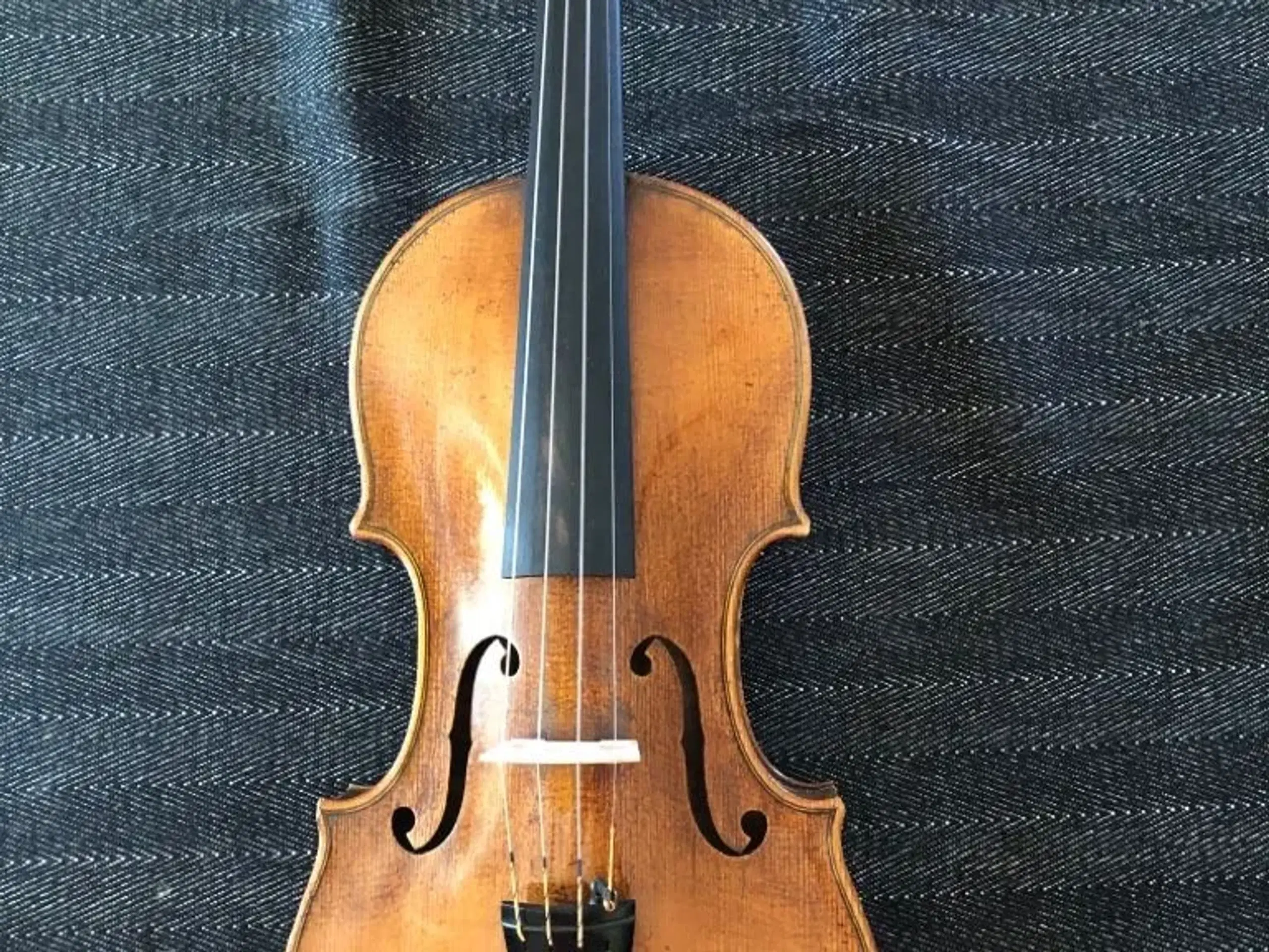 Violin