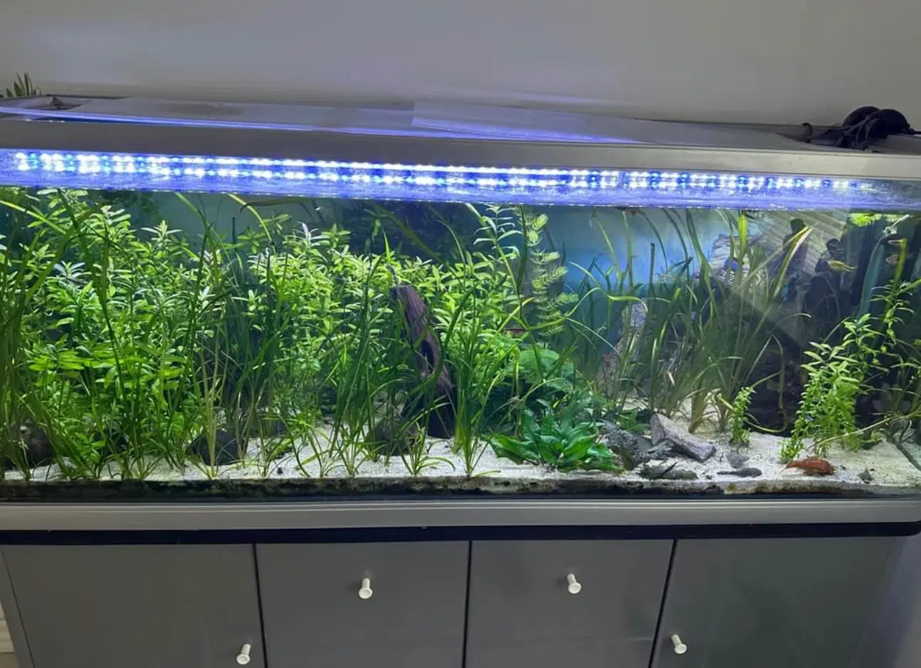 Akvarie 375 liter